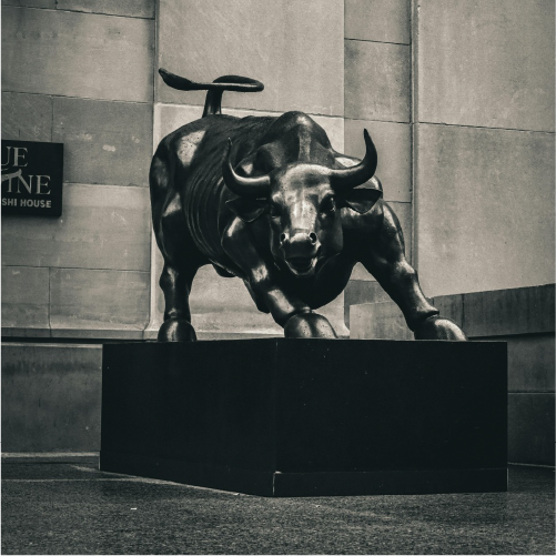 Managing investor expectations and market communications